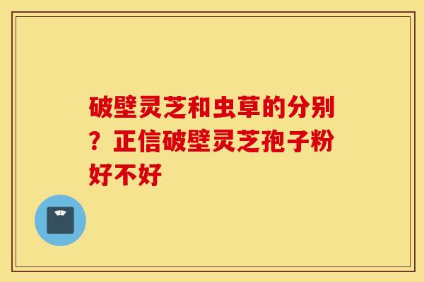 破壁灵芝和虫草的分别？正信破壁灵芝孢子粉好不好