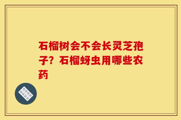 石榴树会不会长灵芝孢子？石榴蚜虫用哪些农药