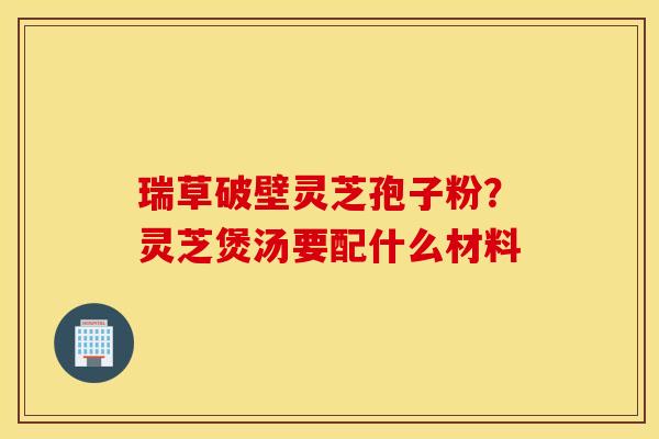 瑞草破壁灵芝孢子粉？灵芝煲汤要配什么材料