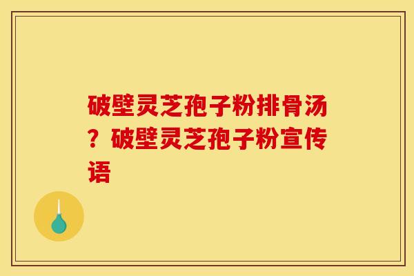破壁灵芝孢子粉排骨汤？破壁灵芝孢子粉宣传语