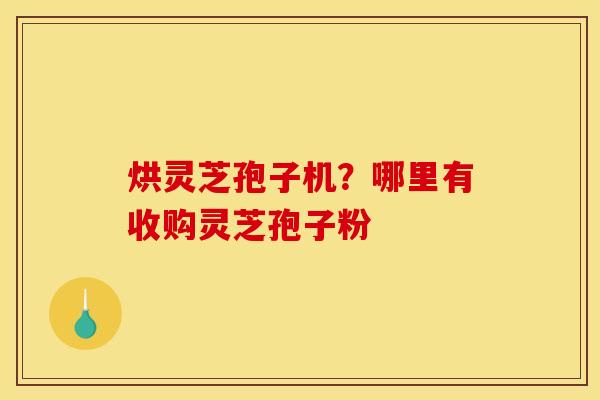 烘灵芝孢子机？哪里有收购灵芝孢子粉