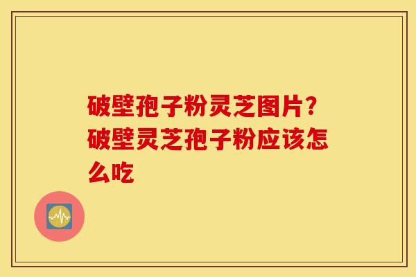破壁孢子粉灵芝图片？破壁灵芝孢子粉应该怎么吃