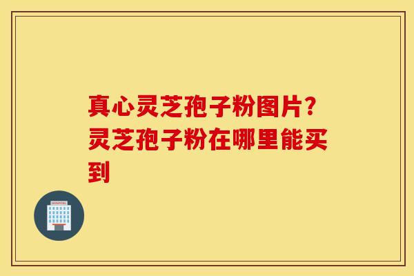 真心灵芝孢子粉图片？灵芝孢子粉在哪里能买到