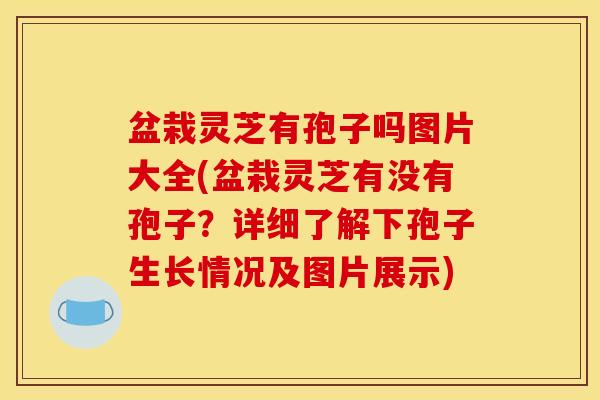 盆栽灵芝有孢子吗图片大全(盆栽灵芝有没有孢子？详细了解下孢子生长情况及图片展示)