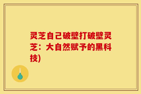 灵芝自己破壁打破壁灵芝：大自然赋予的黑科技)