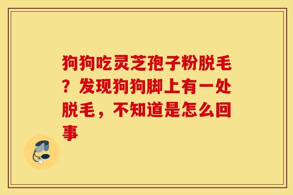 狗狗吃灵芝孢子粉脱毛？发现狗狗脚上有一处脱毛，不知道是怎么回事