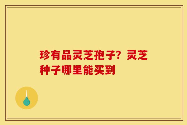 珍有品灵芝孢子？灵芝种子哪里能买到