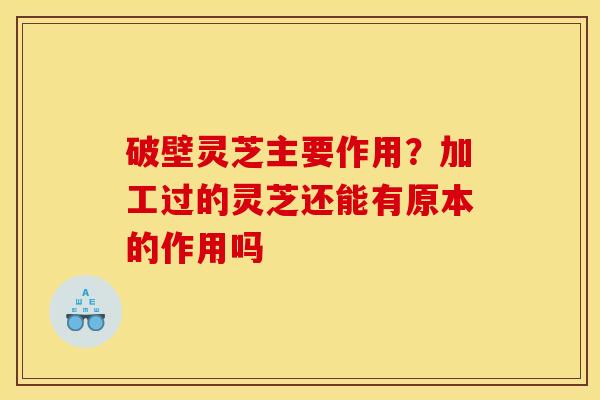 破壁灵芝主要作用？加工过的灵芝还能有原本的作用吗