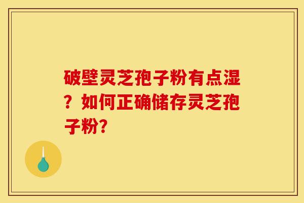 破壁灵芝孢子粉有点湿？如何正确储存灵芝孢子粉？