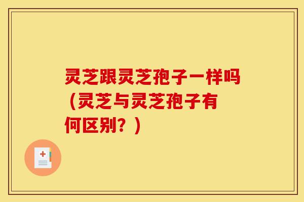 灵芝跟灵芝孢子一样吗 (灵芝与灵芝孢子有何区别？)