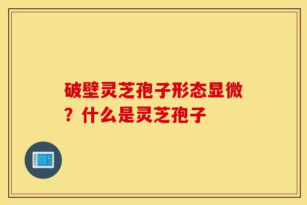 破壁灵芝孢子形态显微？什么是灵芝孢子