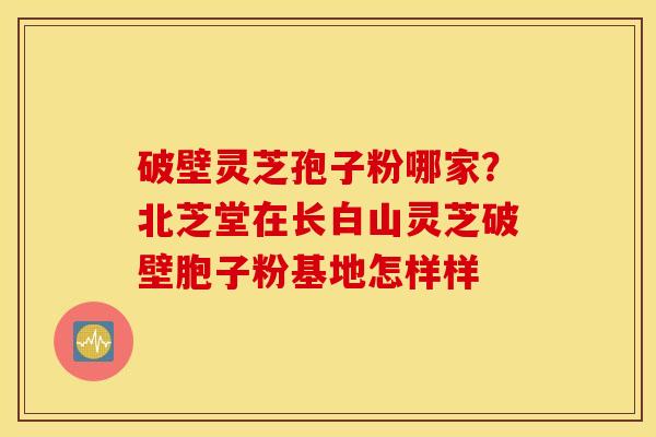 破壁灵芝孢子粉哪家？北芝堂在长白山灵芝破壁胞子粉基地怎样样