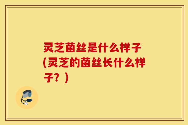 灵芝菌丝是什么样子 (灵芝的菌丝长什么样子？)