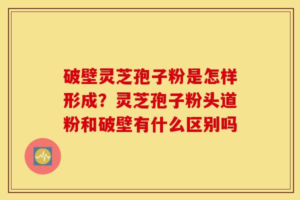 破壁灵芝孢子粉是怎样形成？灵芝孢子粉头道粉和破壁有什么区别吗