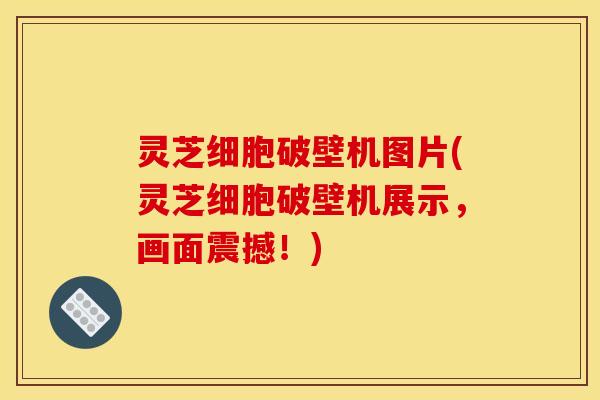 灵芝细胞破壁机图片(灵芝细胞破壁机展示，画面震撼！)