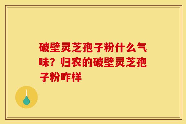 破壁灵芝孢子粉什么气味？归农的破壁灵芝孢子粉咋样