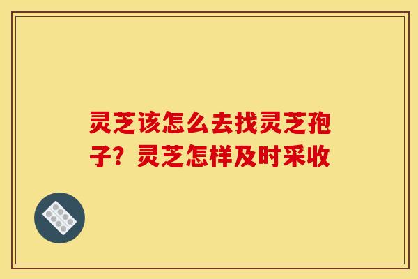 灵芝该怎么去找灵芝孢子？灵芝怎样及时采收