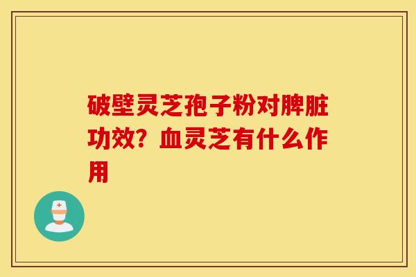 破壁灵芝孢子粉对脾脏功效？血灵芝有什么作用