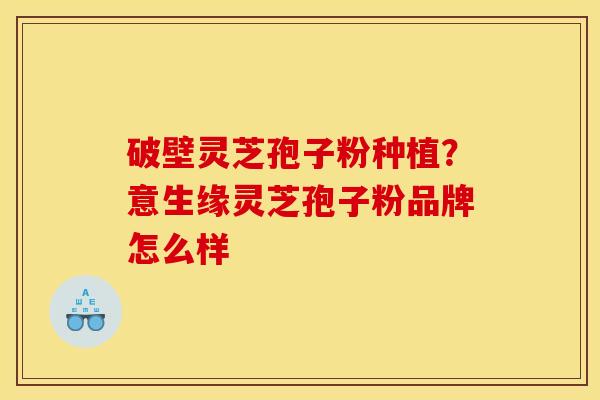 破壁灵芝孢子粉种植？意生缘灵芝孢子粉品牌怎么样