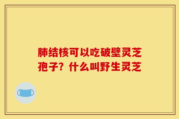 肺结核可以吃破壁灵芝孢子？什么叫野生灵芝