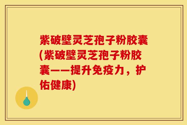 紫破壁灵芝孢子粉胶囊(紫破壁灵芝孢子粉胶囊——提升免疫力，护佑健康)