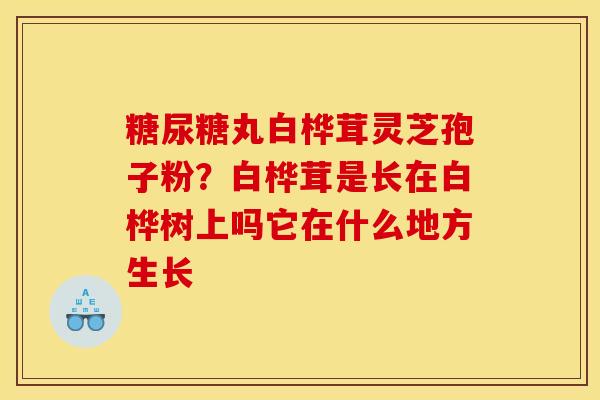 糖尿糖丸白桦茸灵芝孢子粉？白桦茸是长在白桦树上吗它在什么地方生长