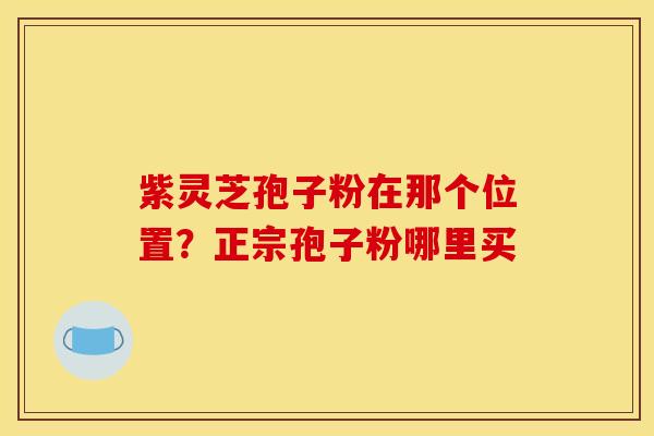 紫灵芝孢子粉在那个位置？正宗孢子粉哪里买