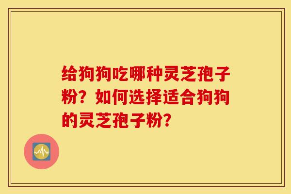 给狗狗吃哪种灵芝孢子粉？如何选择适合狗狗的灵芝孢子粉？