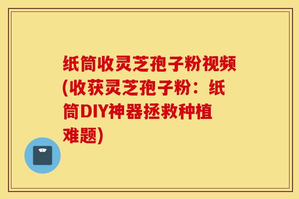 纸筒收灵芝孢子粉视频(收获灵芝孢子粉：纸筒DIY神器拯救种植难题)