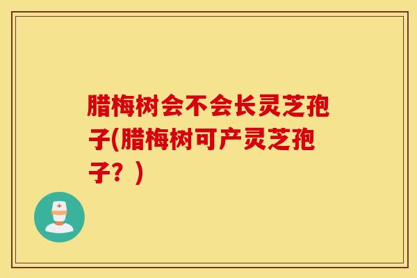 腊梅树会不会长灵芝孢子(腊梅树可产灵芝孢子？)