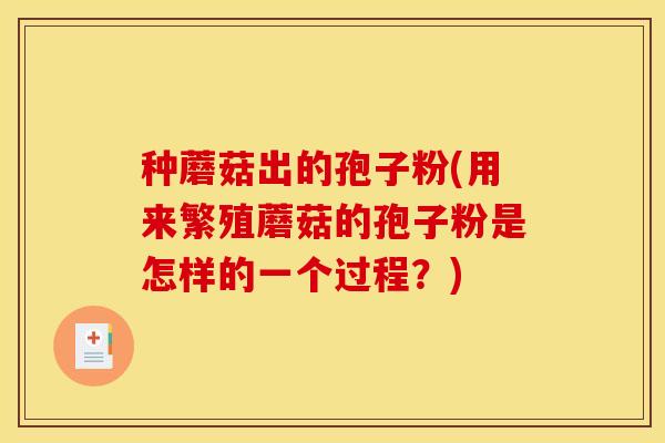 种蘑菇出的孢子粉(用来繁殖蘑菇的孢子粉是怎样的一个过程？)