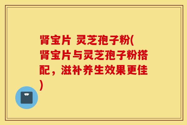 肾宝片 灵芝孢子粉(肾宝片与灵芝孢子粉搭配，滋补养生效果更佳)