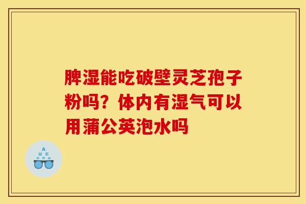 脾湿能吃破壁灵芝孢子粉吗？体内有湿气可以用蒲公英泡水吗