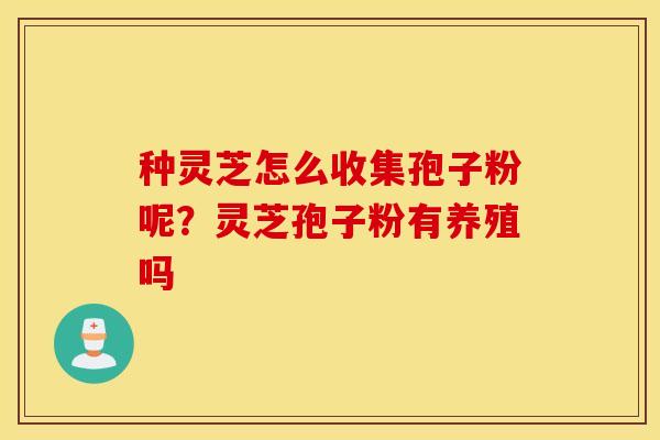 种灵芝怎么收集孢子粉呢？灵芝孢子粉有养殖吗