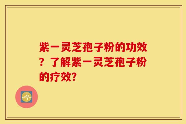 紫一灵芝孢子粉的功效？了解紫一灵芝孢子粉的疗效？