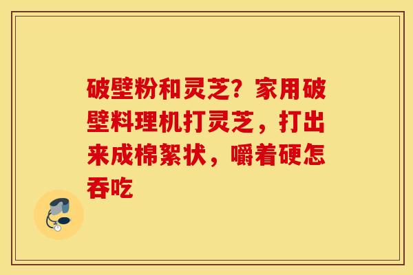 破壁粉和灵芝？家用破壁料理机打灵芝，打出来成棉絮状，嚼着硬怎吞吃