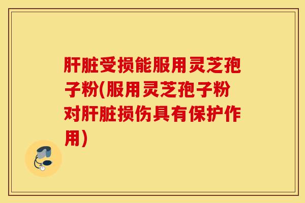 肝脏受损能服用灵芝孢子粉(服用灵芝孢子粉对肝脏损伤具有保护作用)