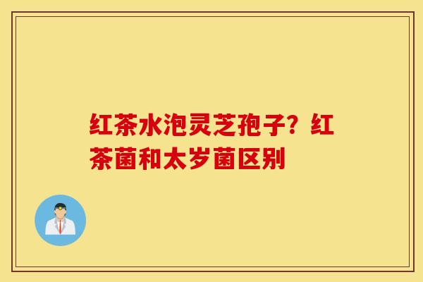 红茶水泡灵芝孢子？红茶菌和太岁菌区别