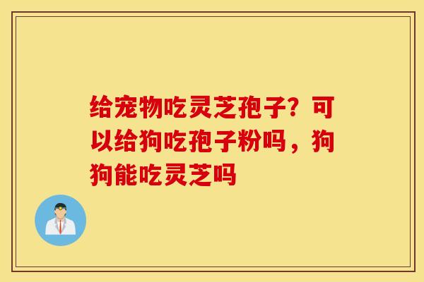 给宠物吃灵芝孢子？可以给狗吃孢子粉吗，狗狗能吃灵芝吗