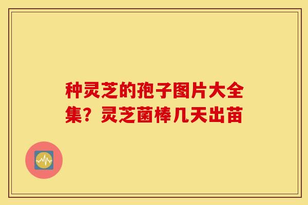 种灵芝的孢子图片大全集？灵芝菌棒几天出苗