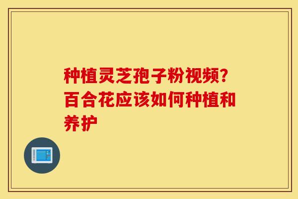 种植灵芝孢子粉视频？百合花应该如何种植和养护