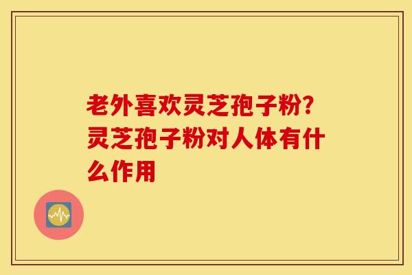老外喜欢灵芝孢子粉？灵芝孢子粉对人体有什么作用