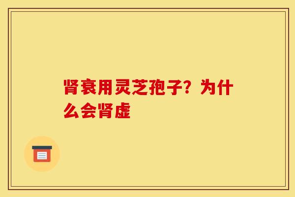 肾衰用灵芝孢子？为什么会肾虚