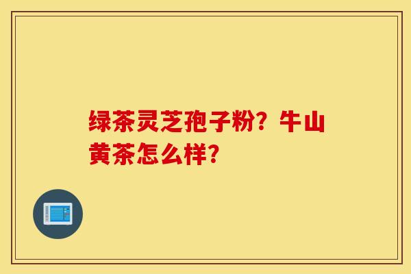 绿茶灵芝孢子粉？牛山黄茶怎么样？