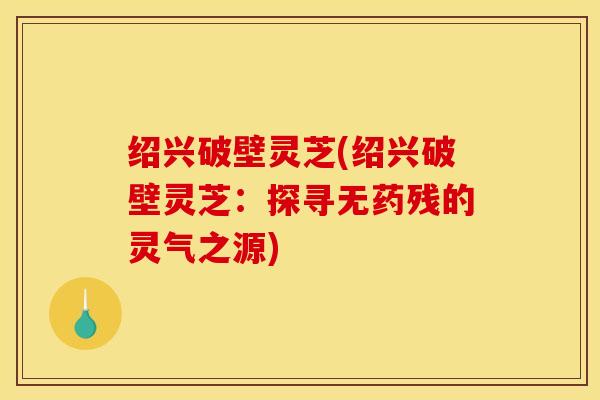 绍兴破壁灵芝(绍兴破壁灵芝：探寻无药残的灵气之源)