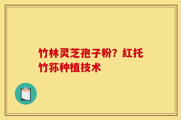 竹林灵芝孢子粉？红托竹荪种植技术