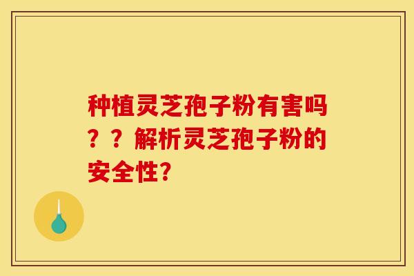 种植灵芝孢子粉有害吗？？解析灵芝孢子粉的安全性？