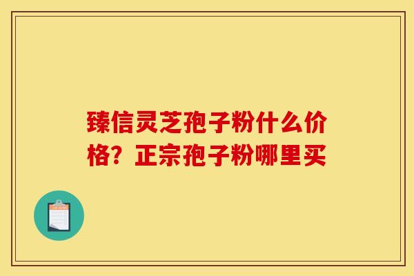 臻信灵芝孢子粉什么价格？正宗孢子粉哪里买