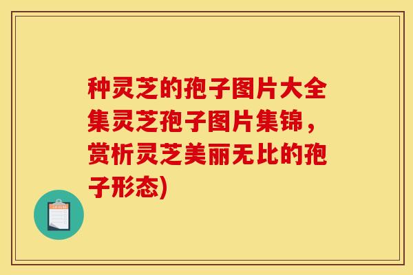 种灵芝的孢子图片大全集灵芝孢子图片集锦，赏析灵芝美丽无比的孢子形态)