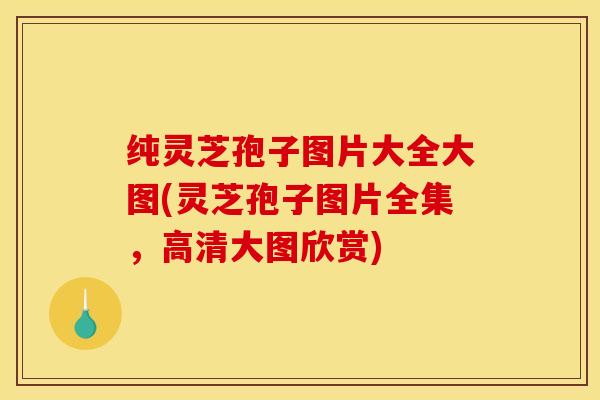 纯灵芝孢子图片大全大图(灵芝孢子图片全集，高清大图欣赏)